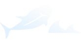 logo Nutritech